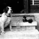 May 1929: Two kittens, a dog, and a soda siphon. (Photo: Fox Photos/Getty Images)